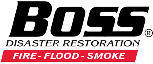 Boss Disaster Restoration Company Logo